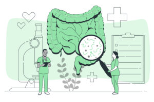 gut health and probiotics