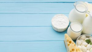 dairy products - probiotic food