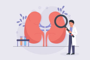 illustration of a kidney | placeholder for best supplements for kidney health | placeholder for 7-day Meal Plan for Kidney Disease
