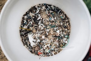 Detailed view of microplastics and debris collected in a white circular container showing pollution.