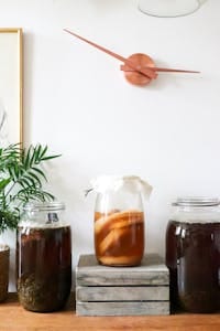 Glass jars with infused liqueurs with ingredients placed on wooden table near green plant near wall with decorations at home | Gut-Healthy Foods Recommended by RDs: Add These to Your Diet