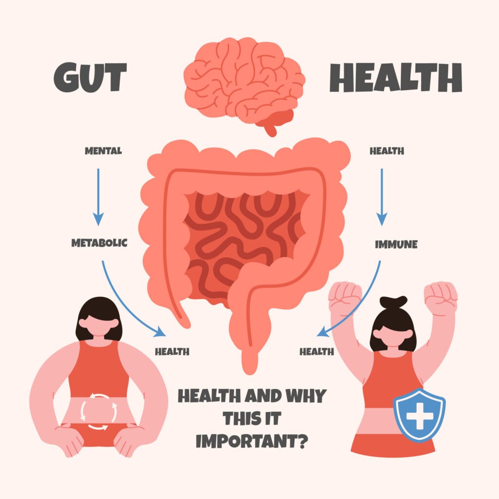 gut health infographic | Your Gut Controls Your Mood & Weight? New Science Explains The Gut-Brain Anxiety Link