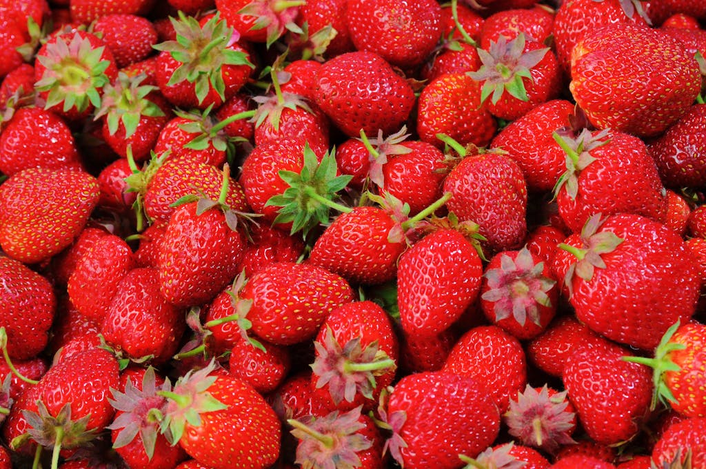 Vibrant close-up of fresh, organic, juicy strawberries displaying rich textures. | Reverse Prediabetes: A Dietitian's 5 Must-Eat Foods for Stable Blood Sugar