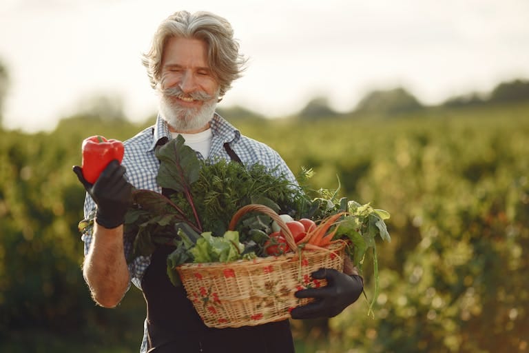 Smiling elderly farmer holding a basket of fresh vegetables in a lush green field.