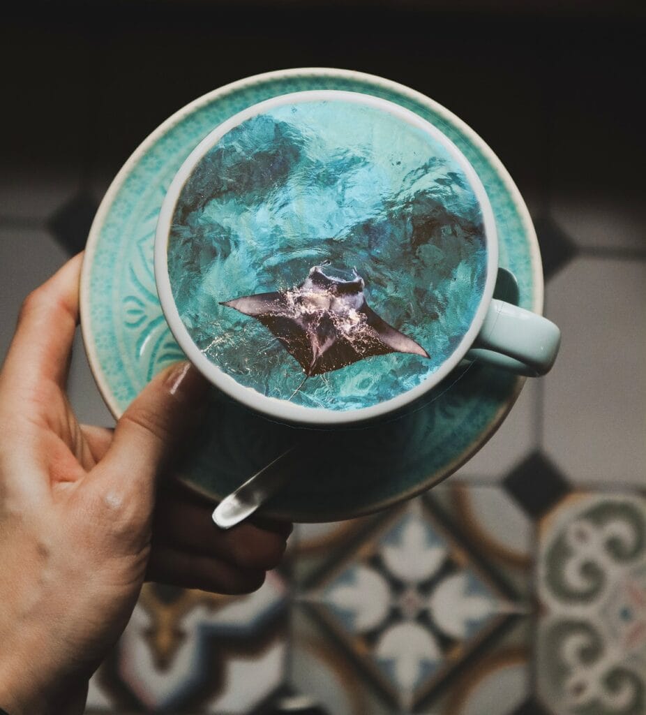 coffee, stingray, cup, nature, coffee cup, sea, water, illusion