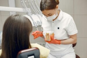 Dentist educates female patient using tooth model in a dental clinic.