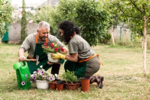 senior couple gardening