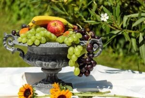 bowl of fruit, nature, shell, fruit, healthy, food, summer